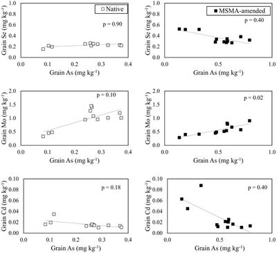 Selected trace element uptake by rice grain as affected by soil arsenic, water management and cultivar -a field investigation